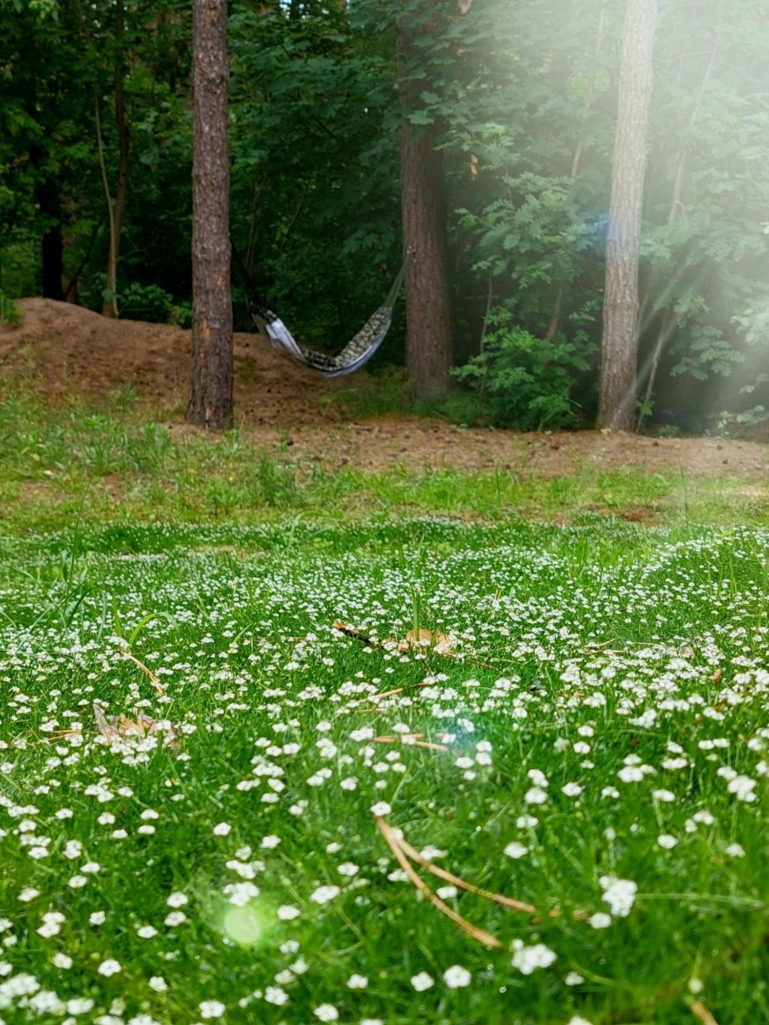 Forrest Style Pokoje Goscinne Varşovia Exterior foto